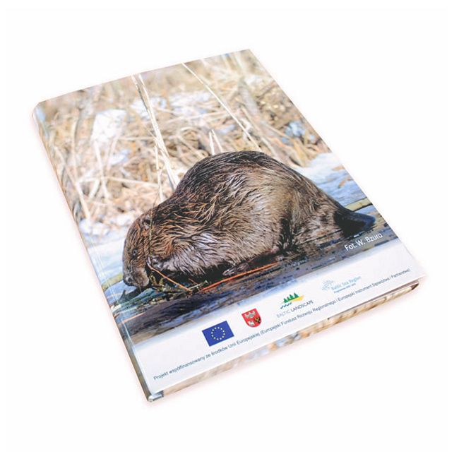 REALIZUJEMY ZAMÓWIENIA NA TECZKI PAPIEROWE Z INDYWIDUALNYM PROJEKTEM